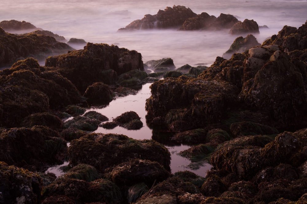 brown rock formation on sea during daytime