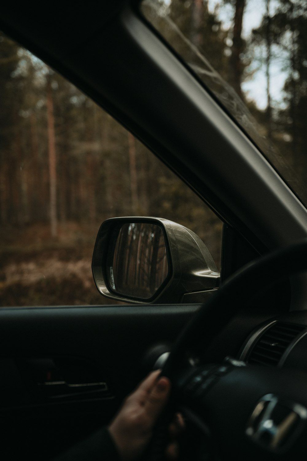 car side mirror showing brown trees during daytime