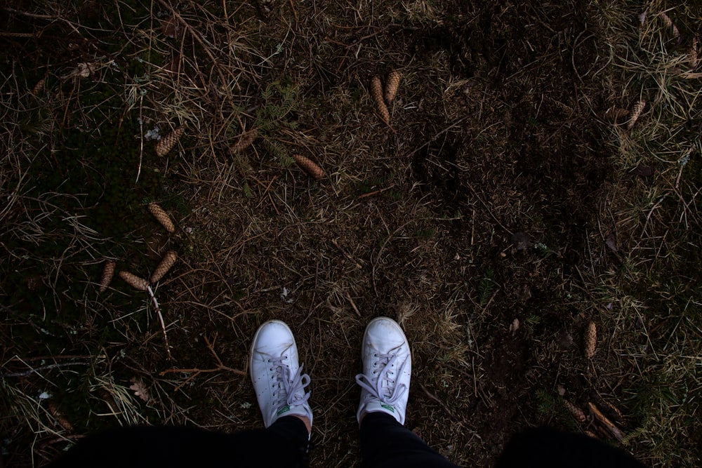 person wearing white sneakers standing on brown dried leaves