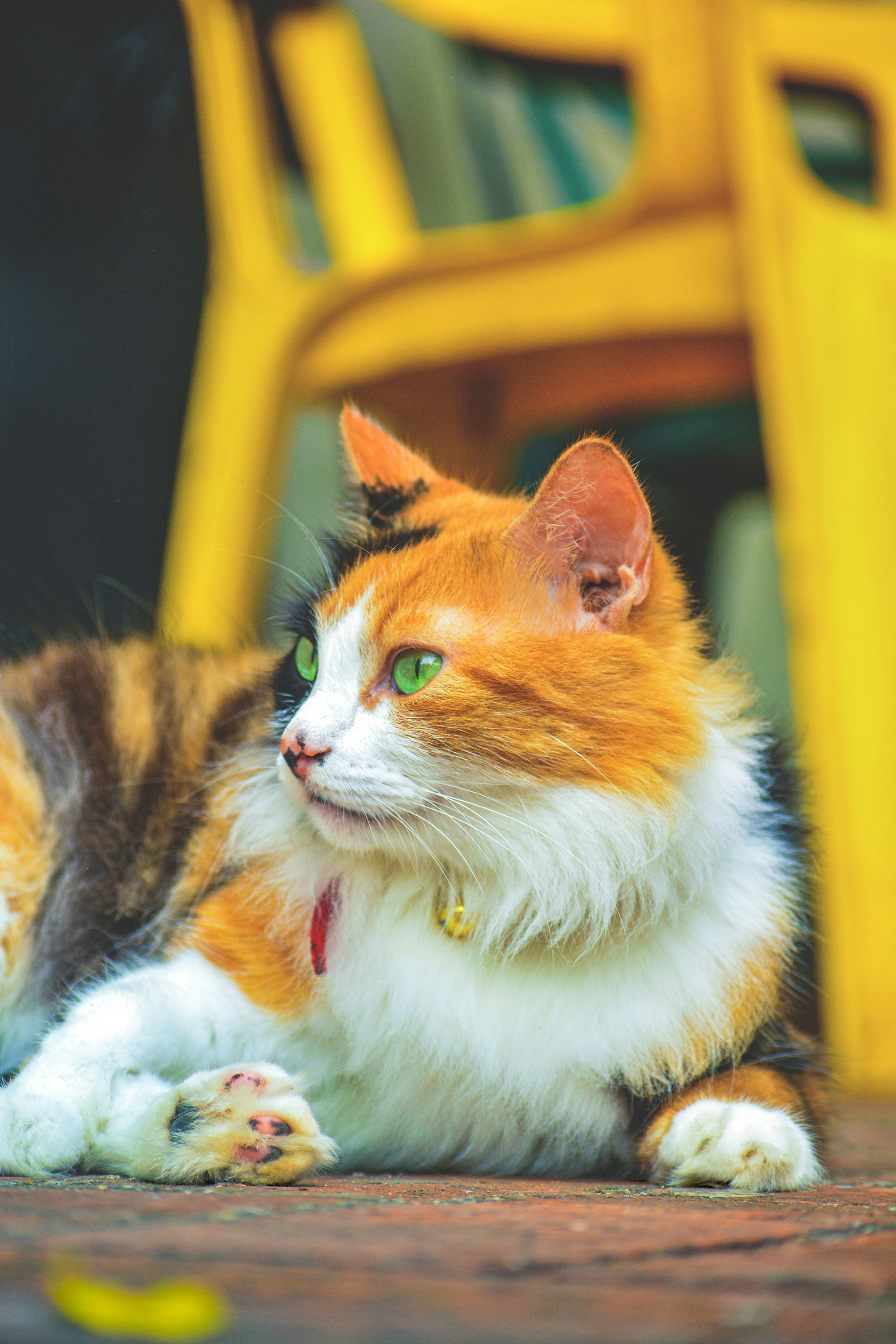 Photo by guzman123456