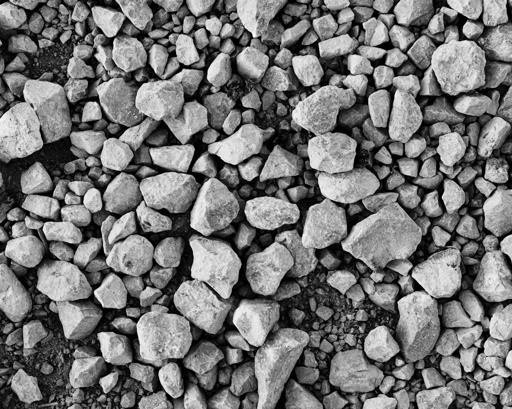 photo en niveaux de gris de pierres