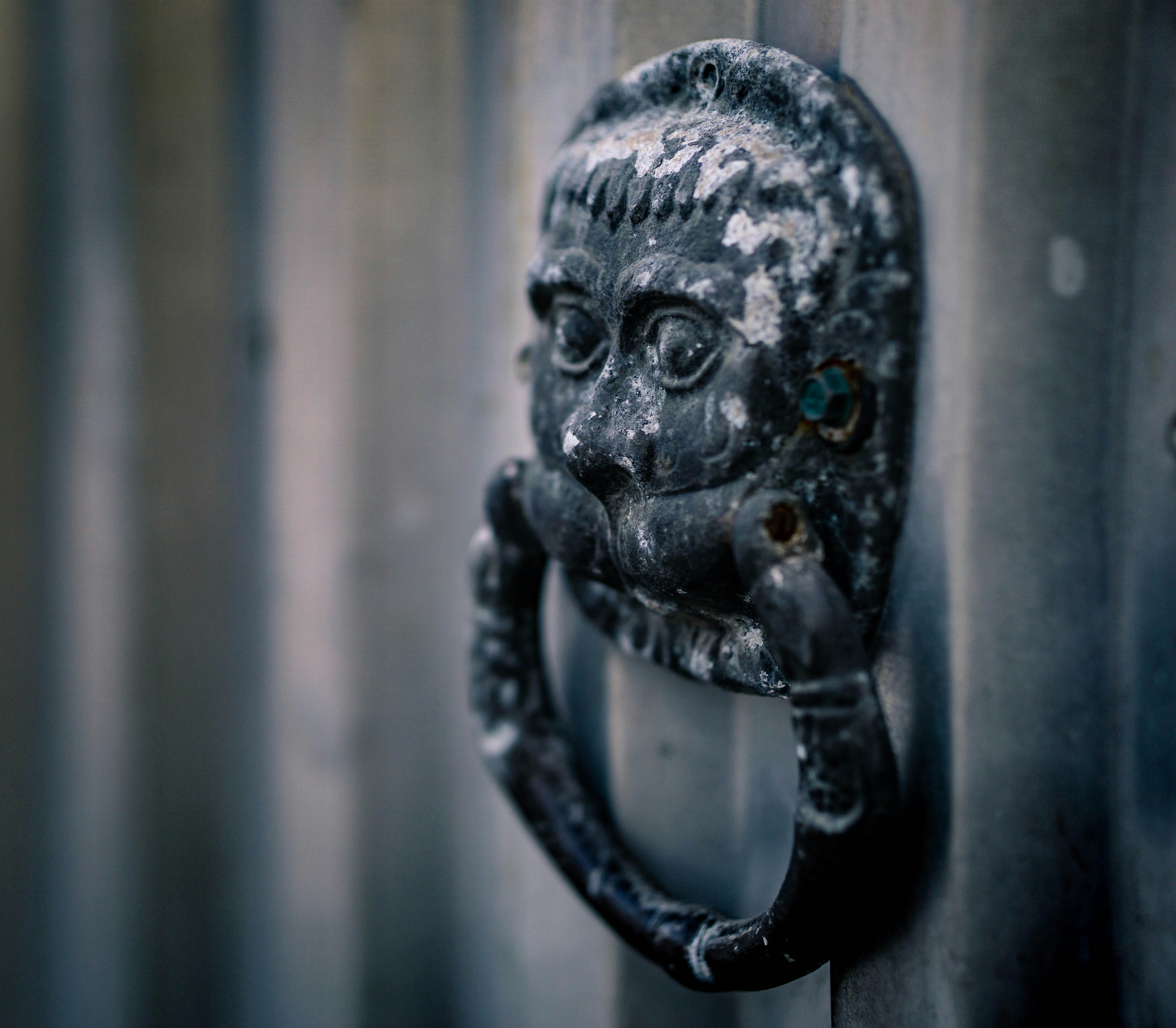 decorazione murale teschio in bianco e nero