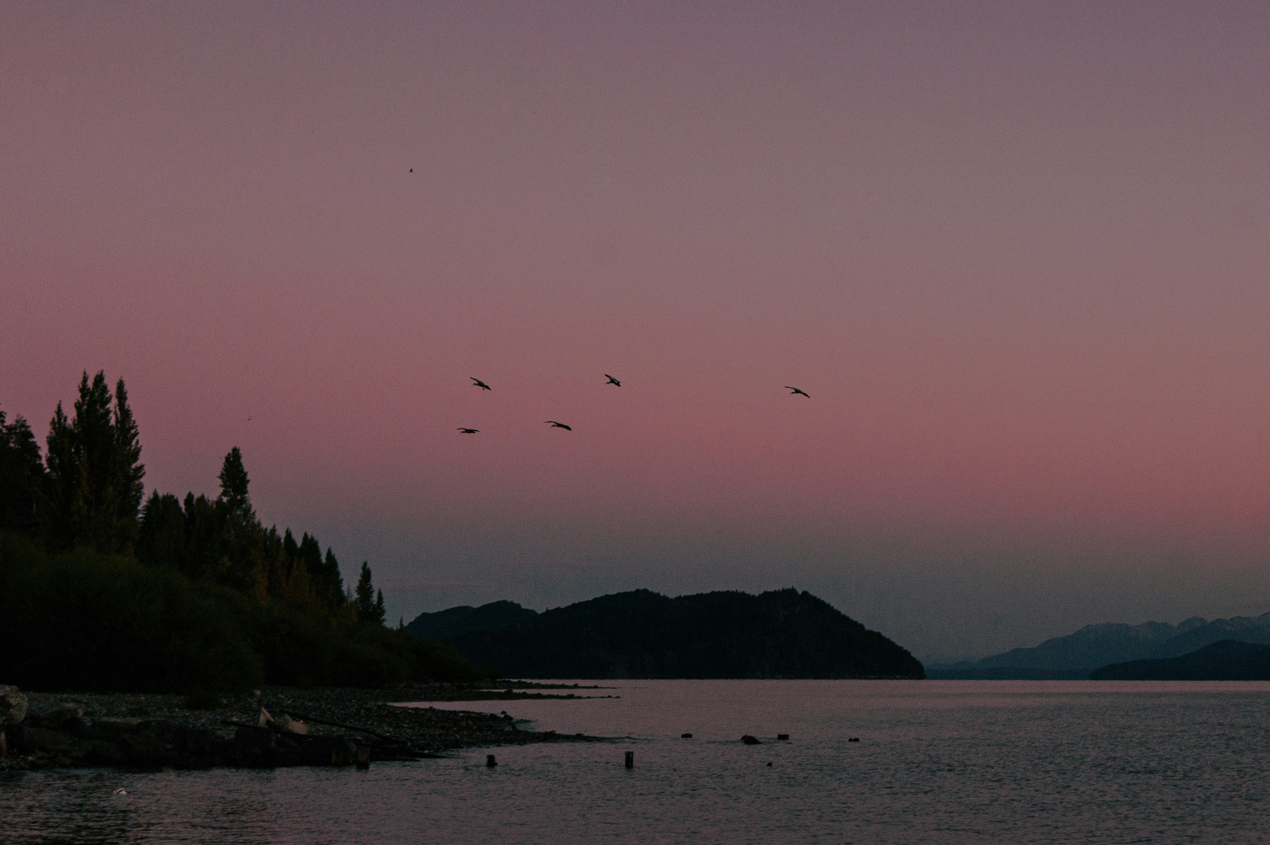 Photo by mr_fradale