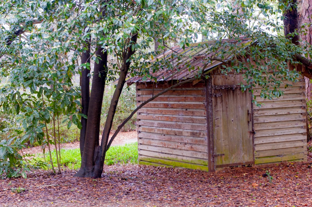 brown wooden house near green tree during daytime