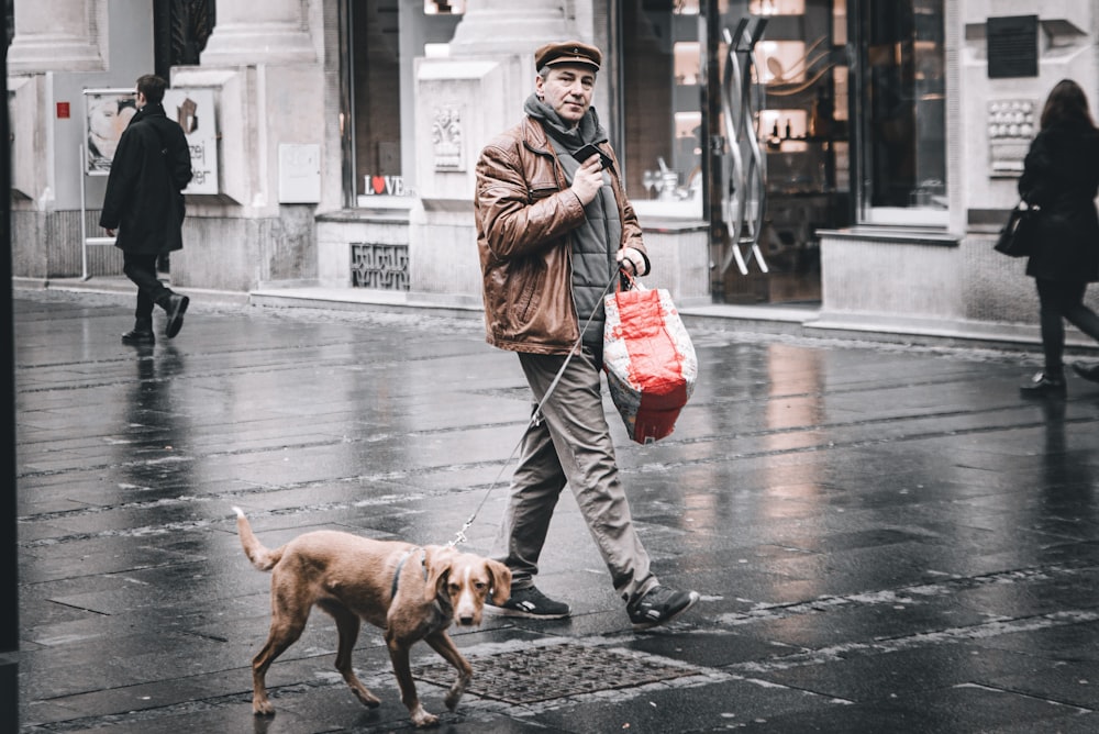 woman in brown coat walking with brown dog on sidewalk during daytime