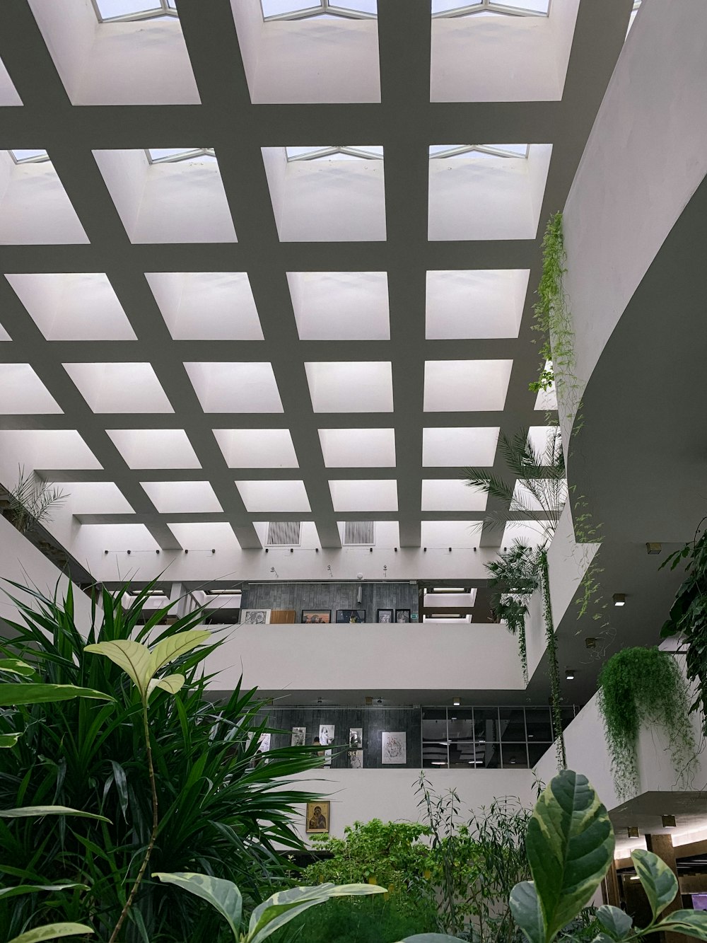 Plantas verdes en edificio de hormigón blanco