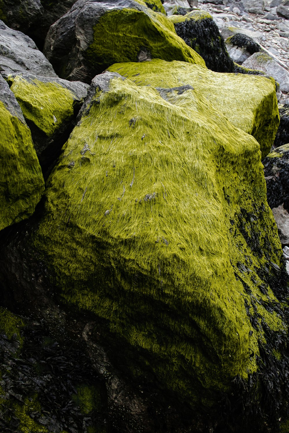 a rock covered in green moss next to a river