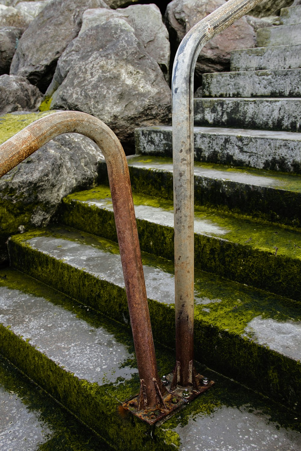 a set of stairs with moss growing on them