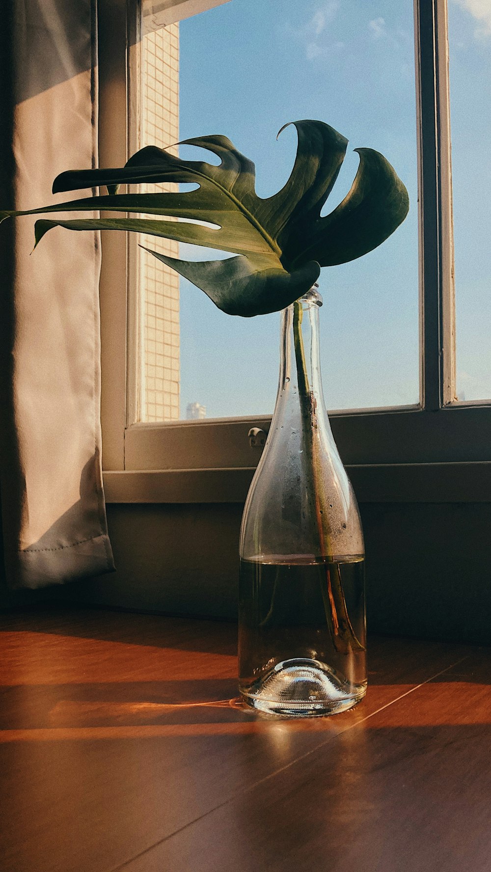 clear glass bottle on brown wooden table
