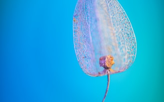 white and green net on blue surface