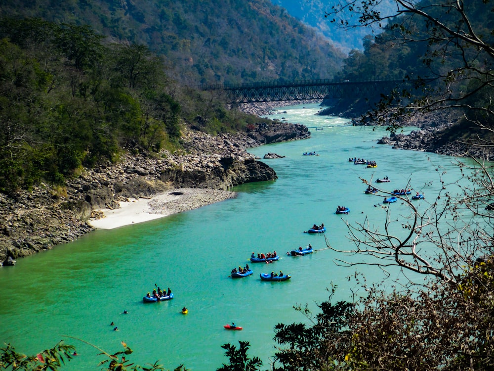 people swimming on lake during daytime