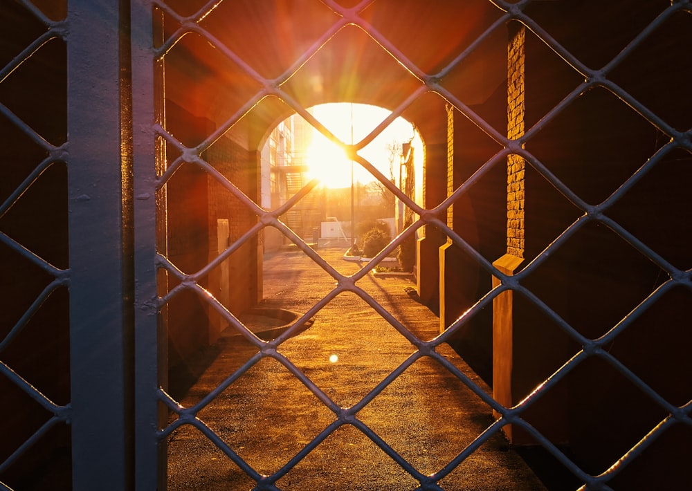 brown metal fence during daytime