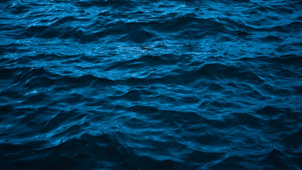 blue body of water during daytime