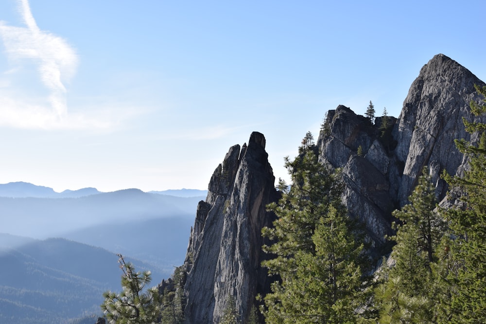 green trees on mountain during daytime