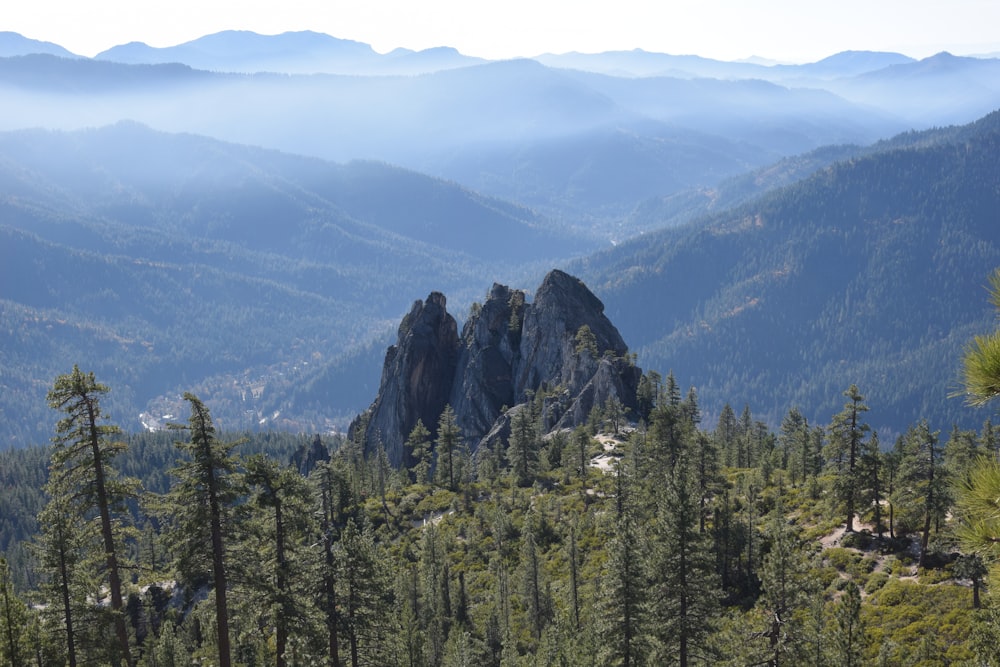 green trees on mountain during daytime