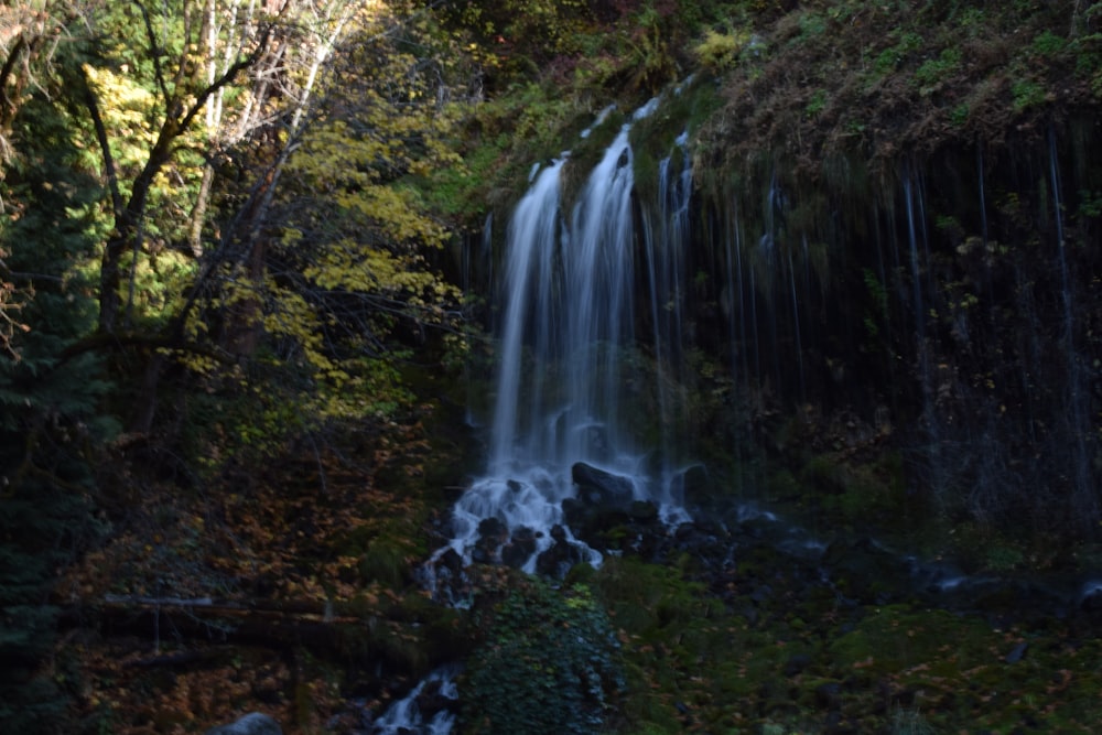 water falls in the forest