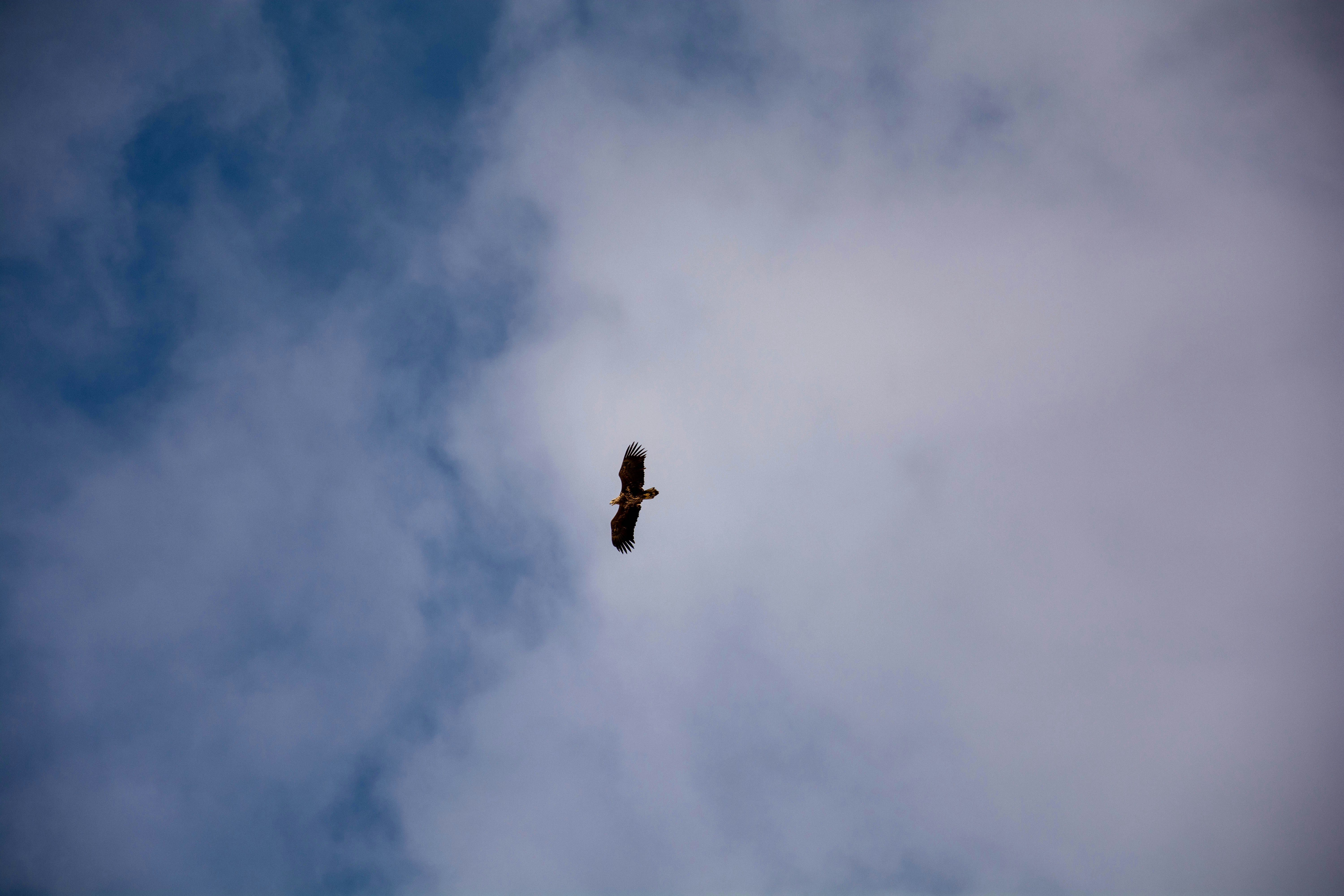 Photo by new_memel_photography