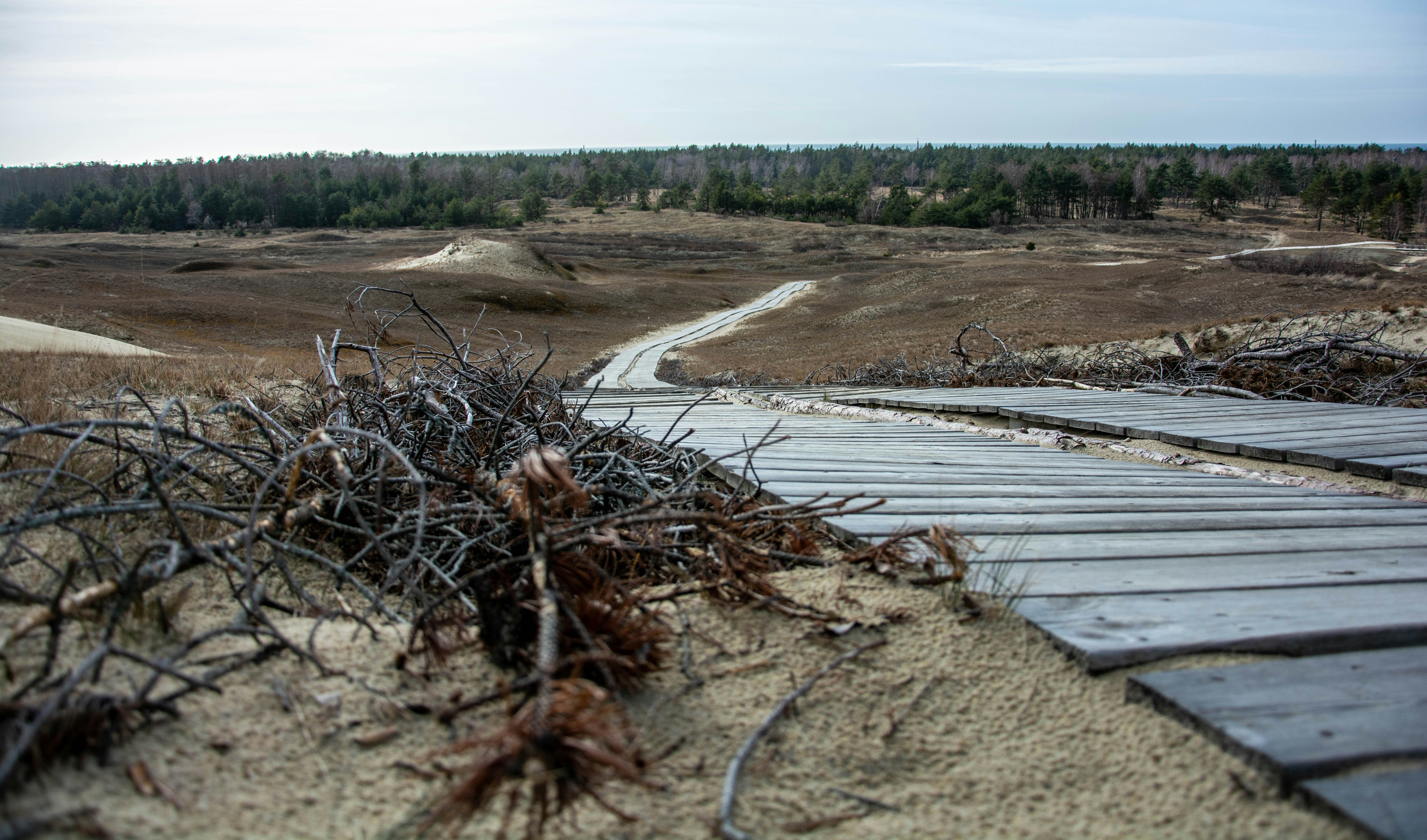 Photo by new_memel_photography