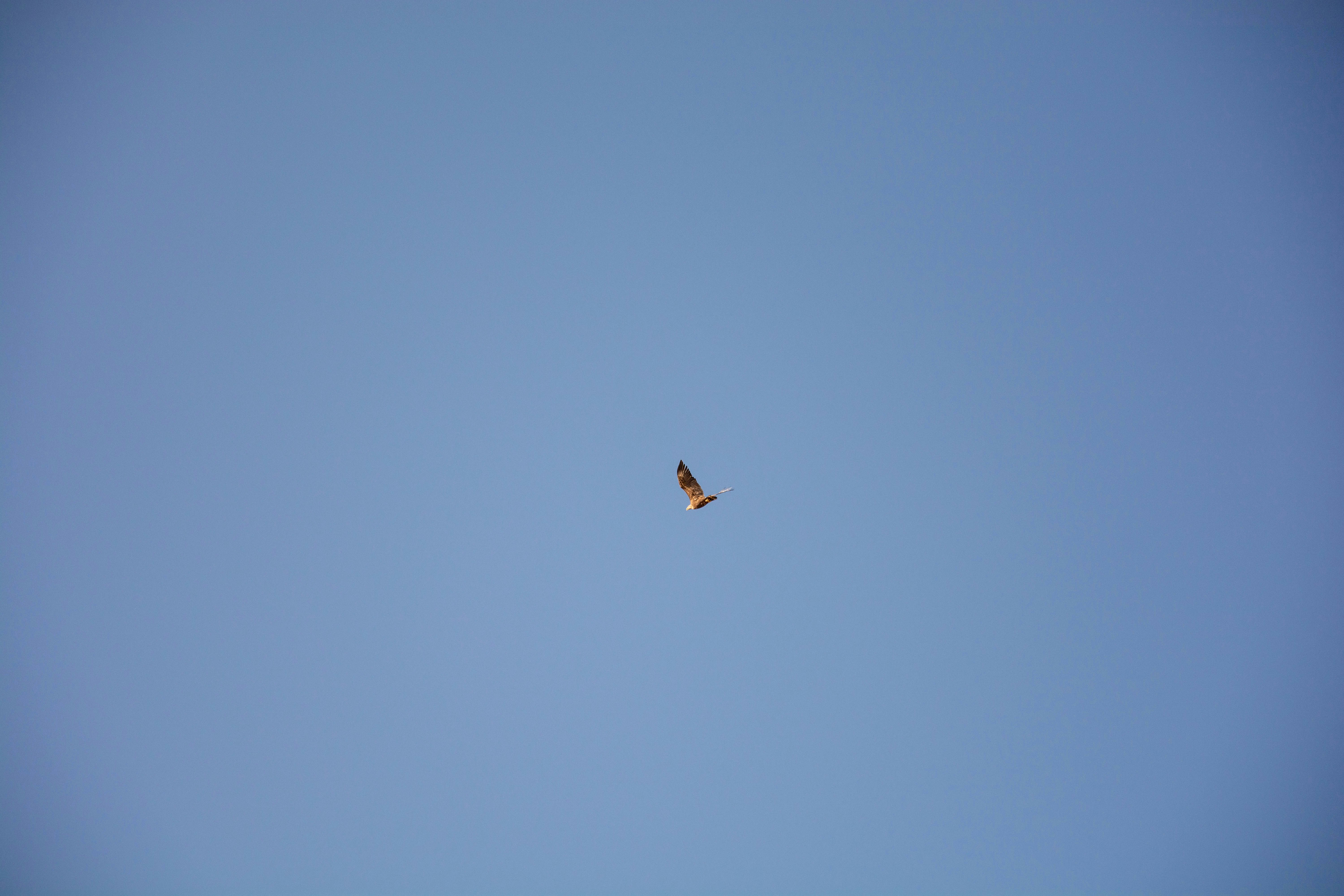 Photo by new_memel_photography