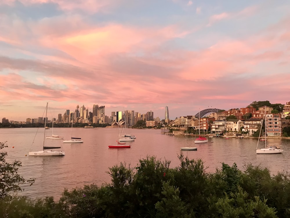 white and red boat on body of water during sunset