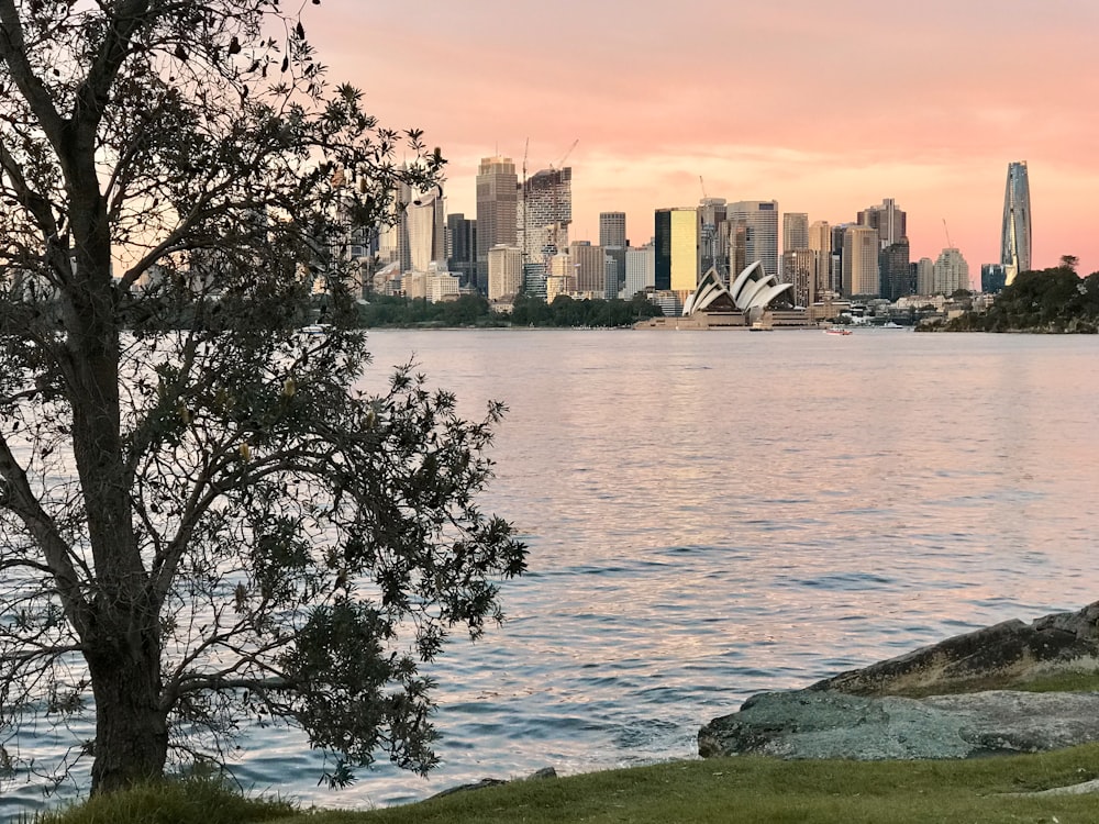 city skyline across body of water during daytime