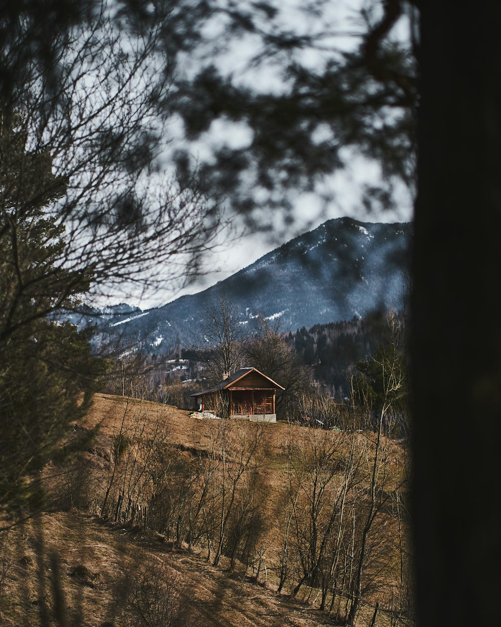 maison en bois brun près des arbres et de la montagne pendant la journée