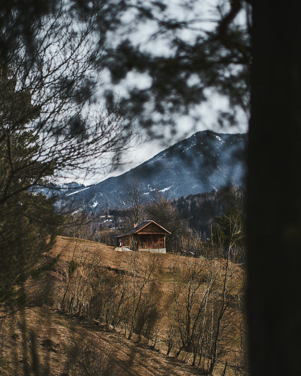 Casa de madera marrón cerca de árboles y montaña durante el día