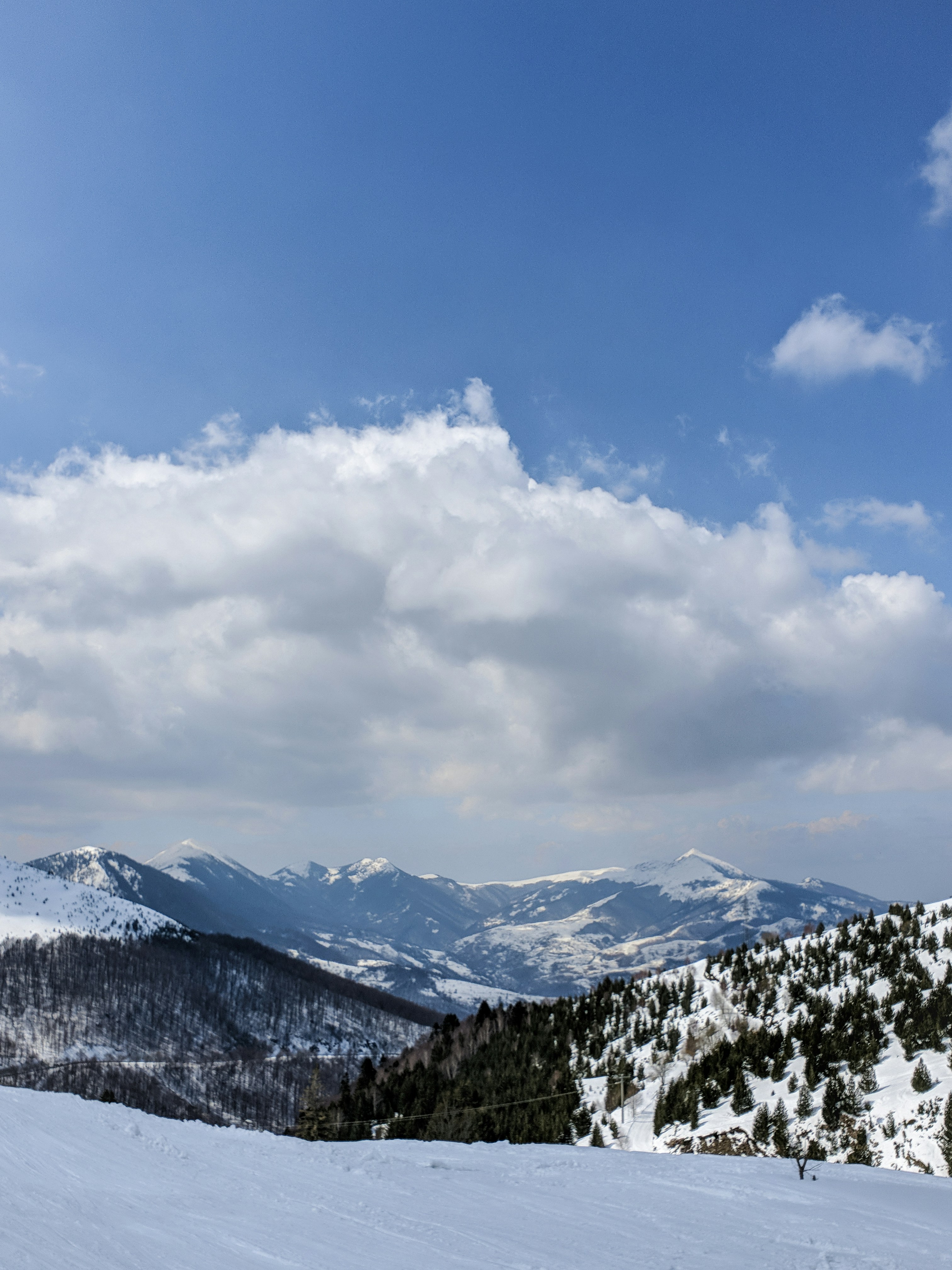 Photo by alberthyseni