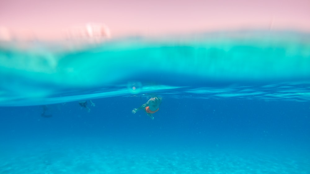 2 people surfing on water during daytime