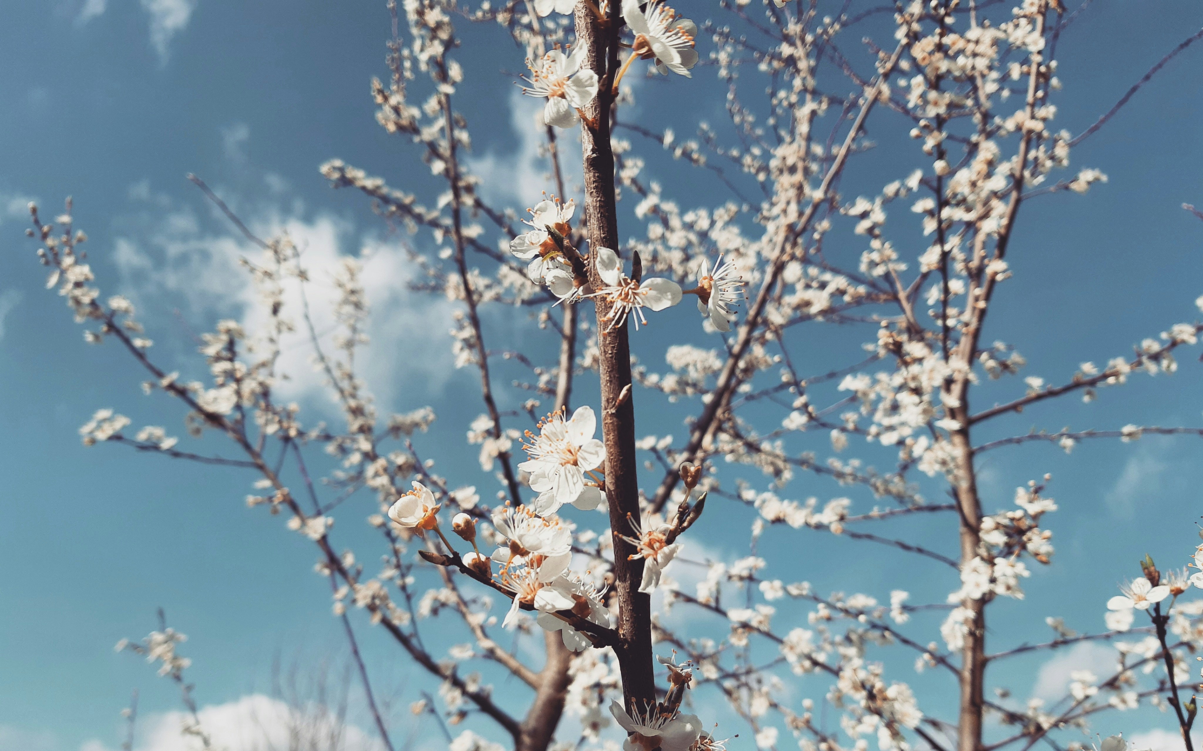 Photo by annnnnnnna8