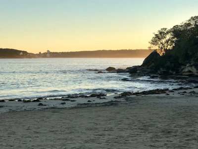 Sunrise over the calm Mediterranean Sea with soft beige sands and olive green accents from nearby trees.