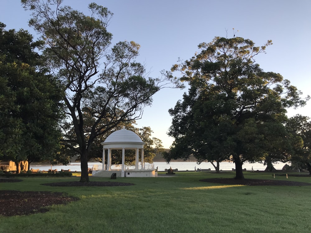 green grass field with trees and white building in distance