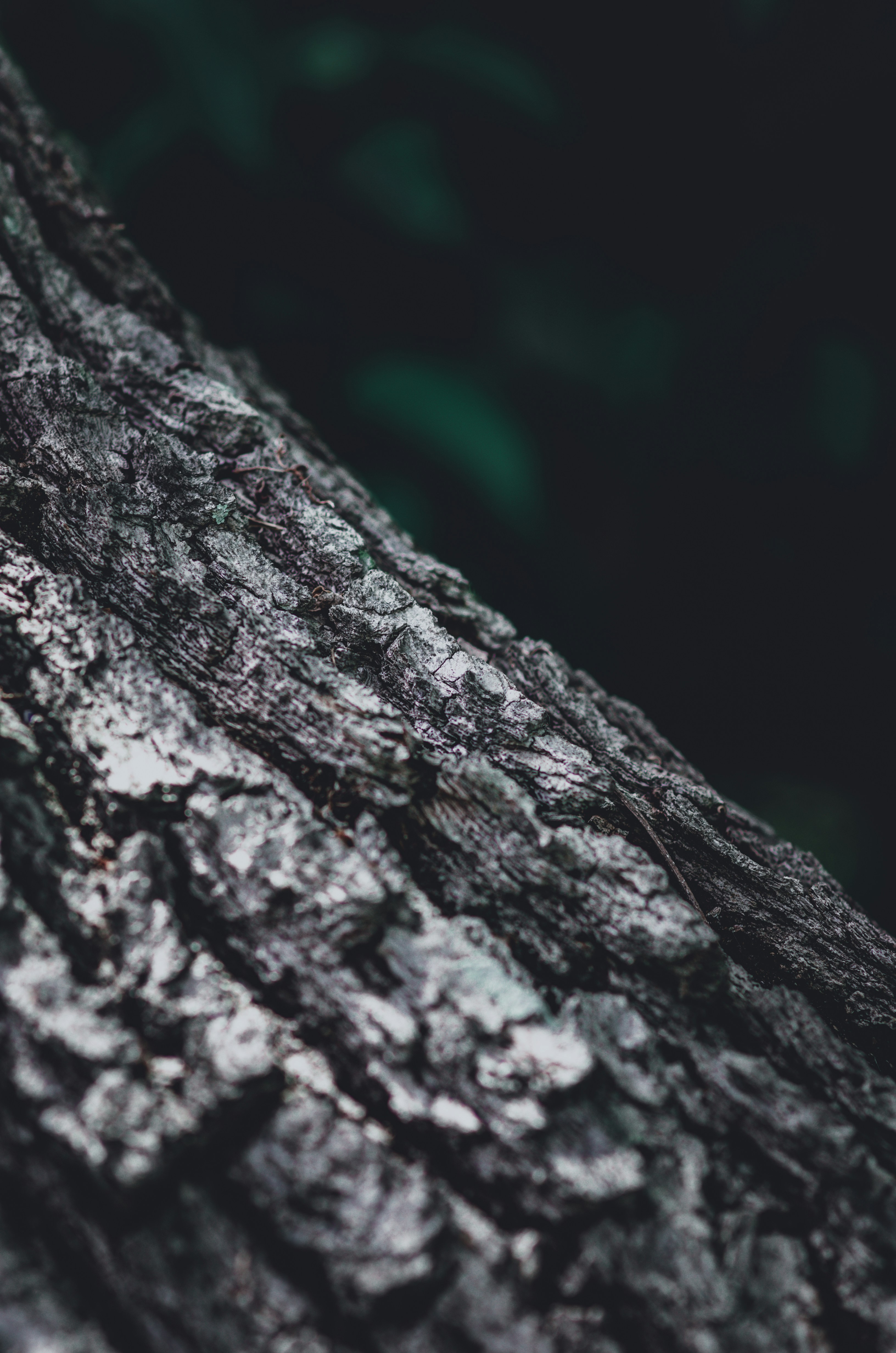 Photo by mhgfxdesign