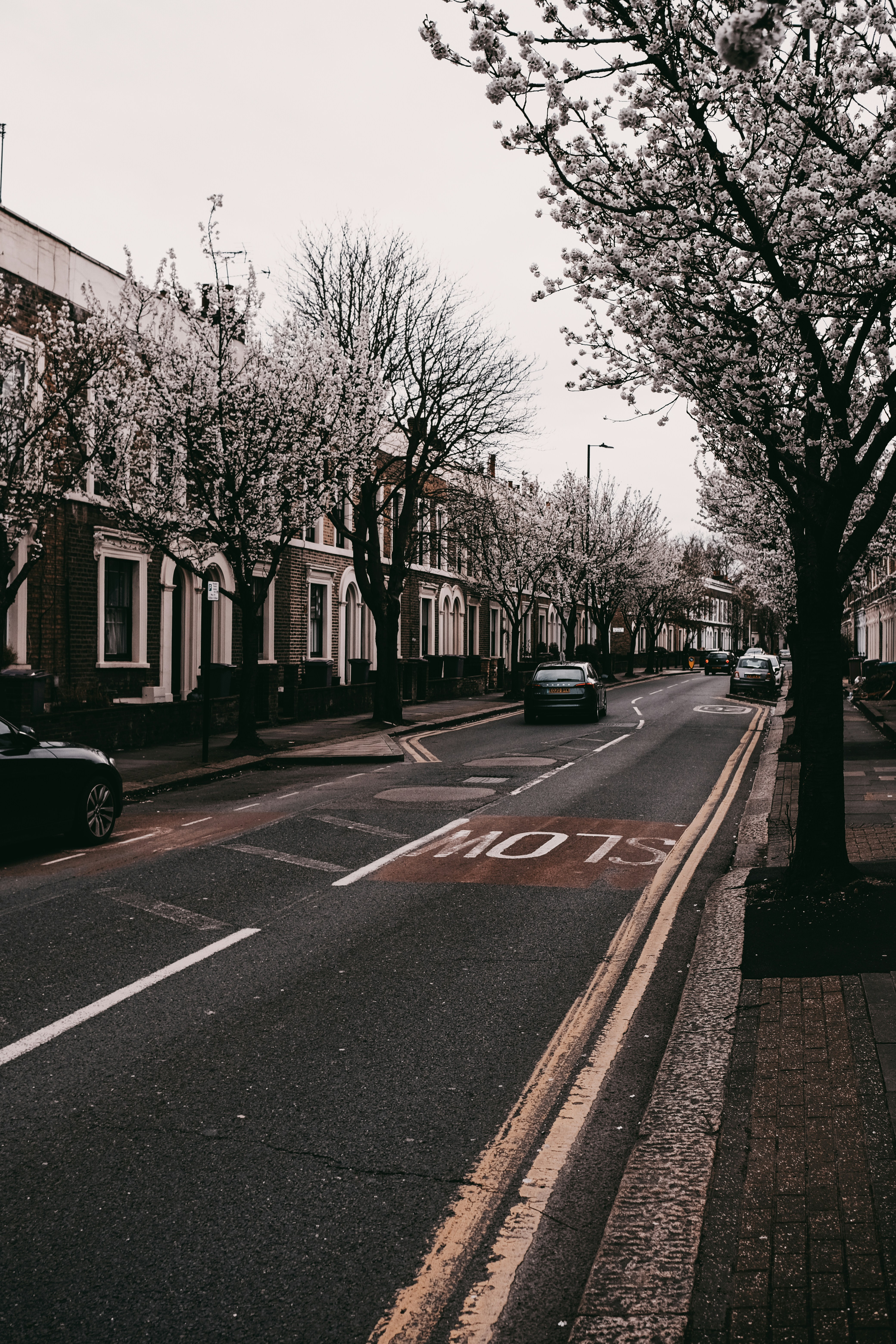 Photo by reganography