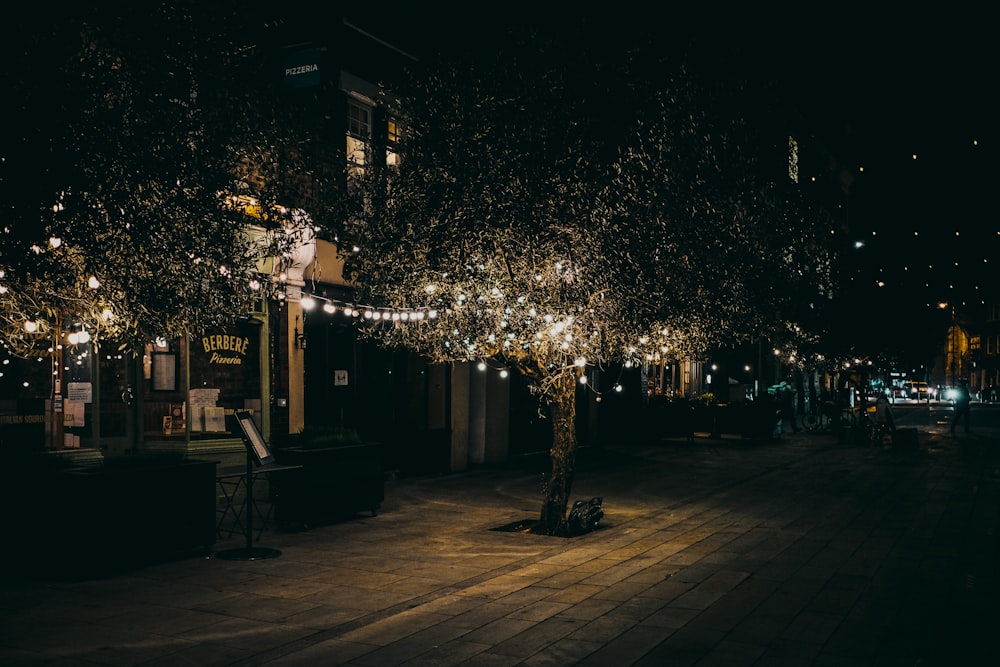 lighted tree on sidewalk during night time