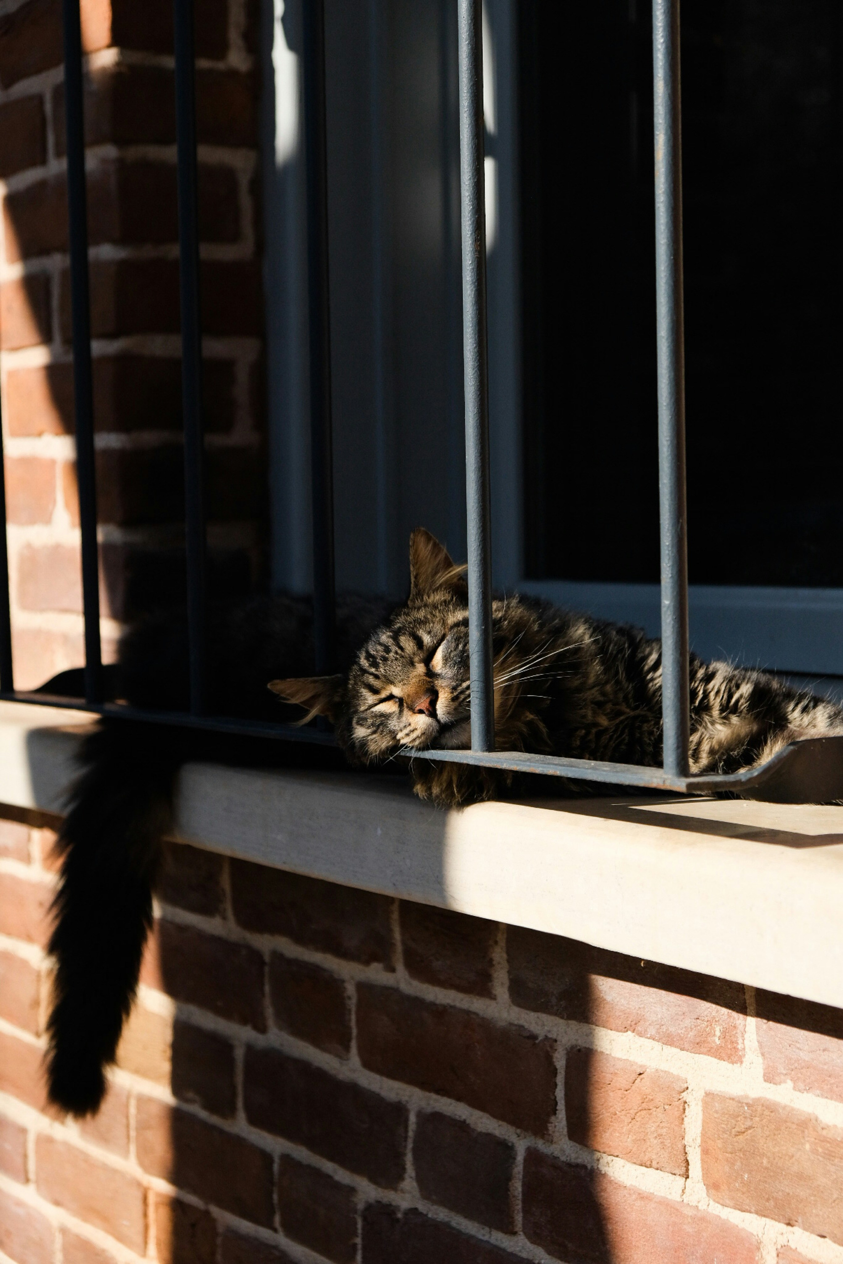 Create a Window Perch for Two (image credits: unsplash)