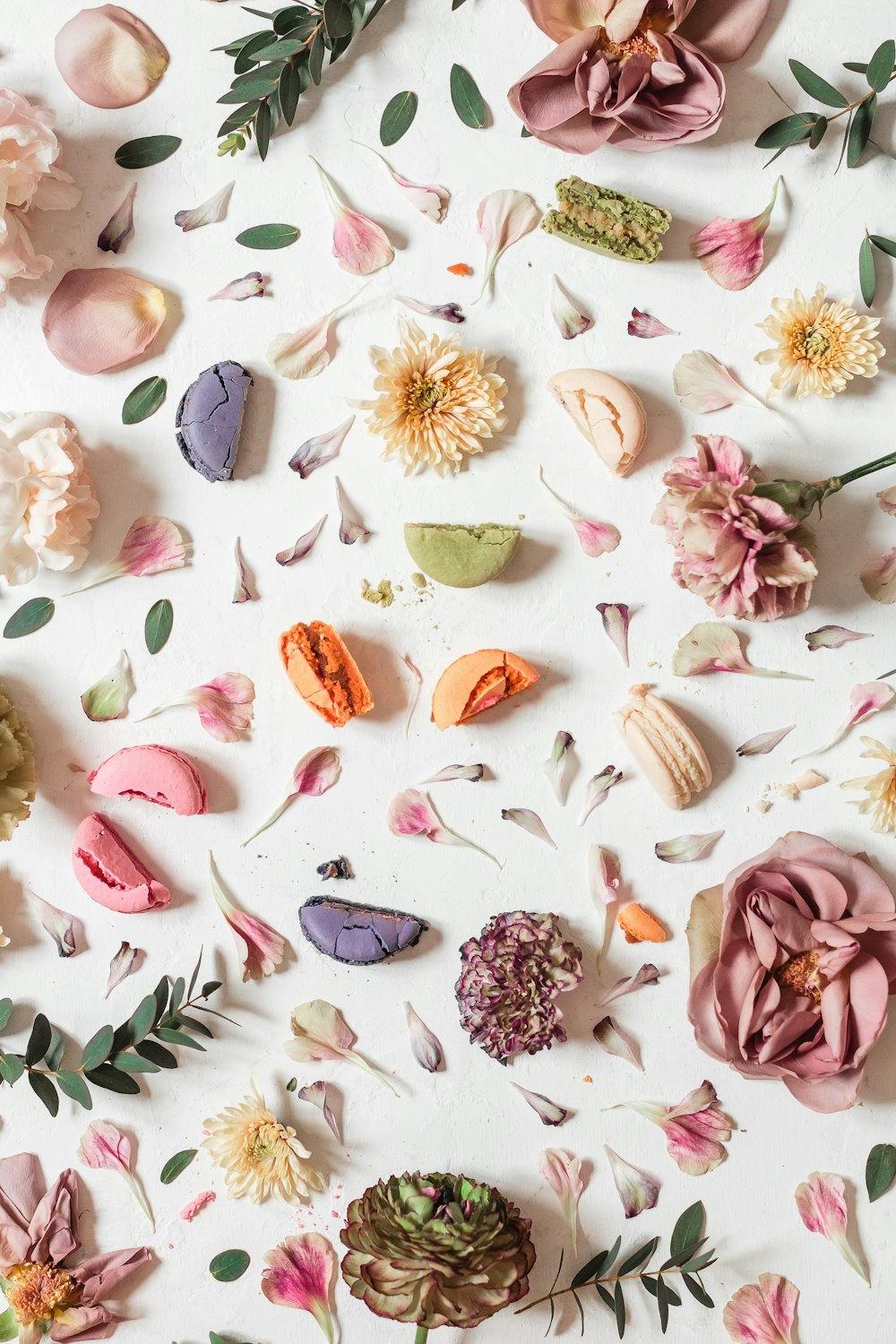 pink and white seashell on white and green floral textile