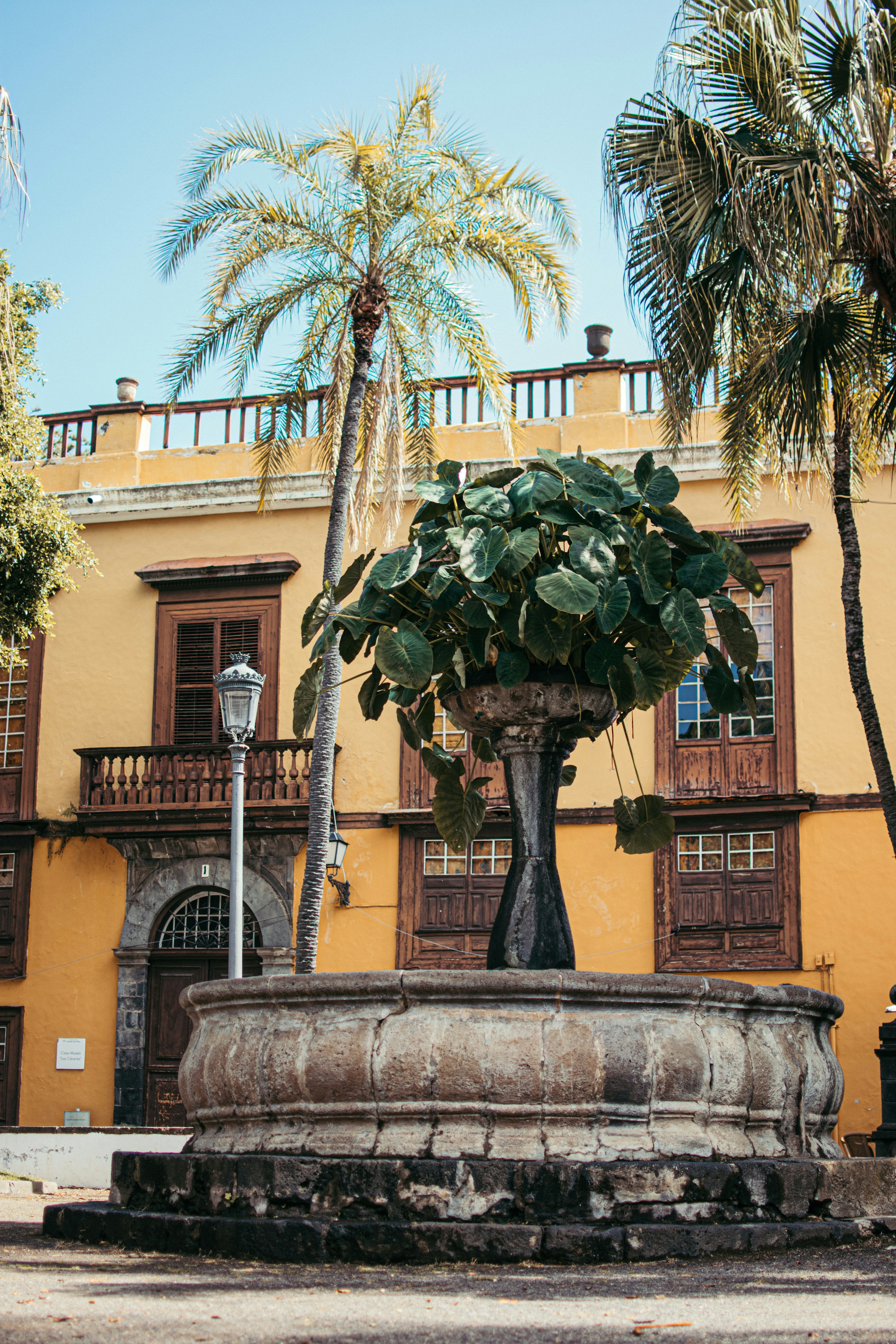 Photo by omarsotillo