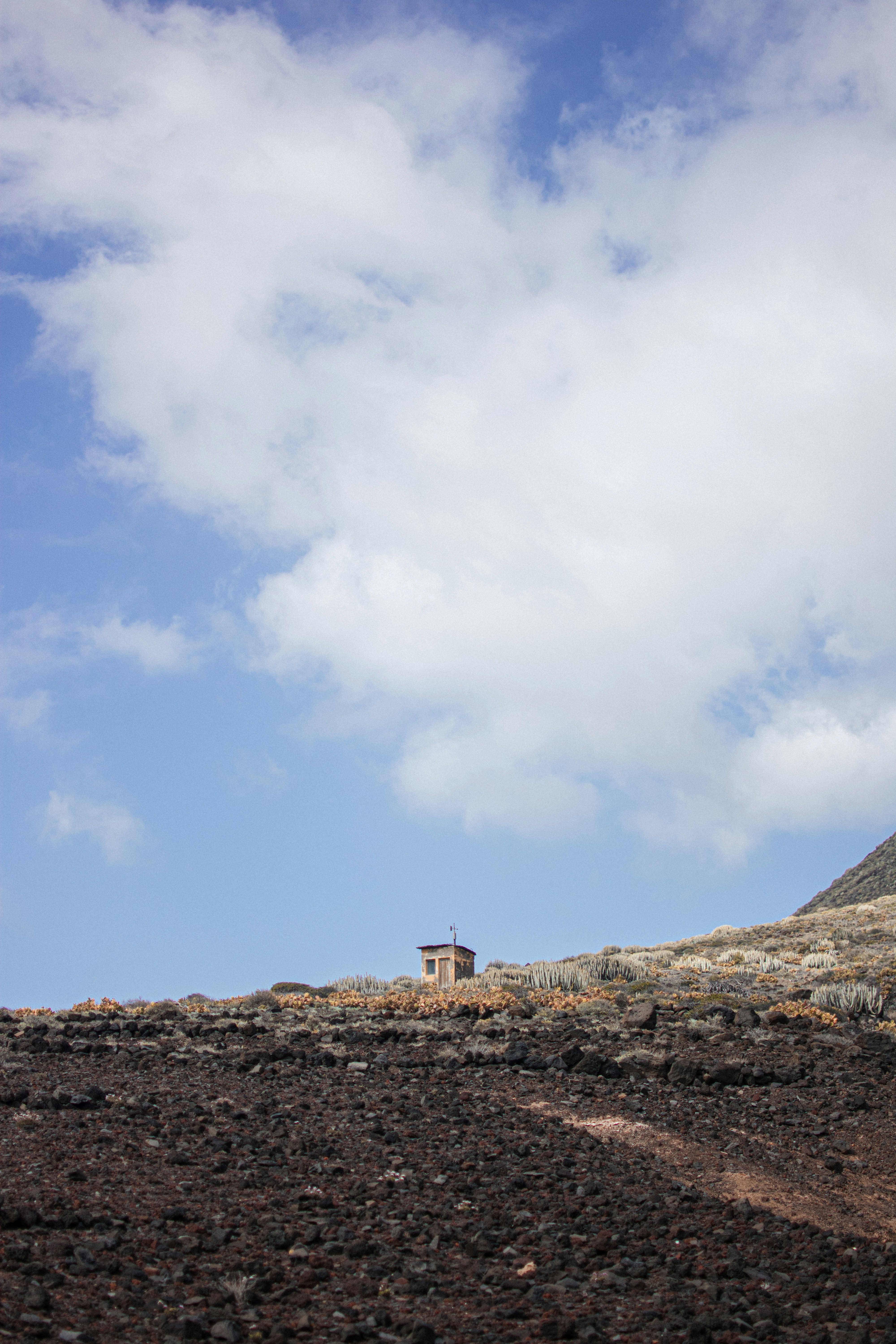 Photo by omarsotillo