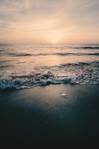 sea waves crashing on shore during daytime