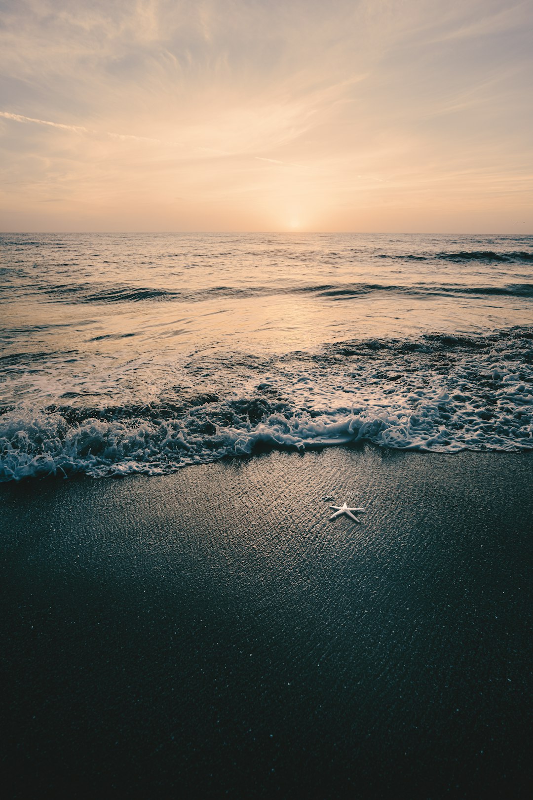  sea waves crashing on shore during daytime starfish