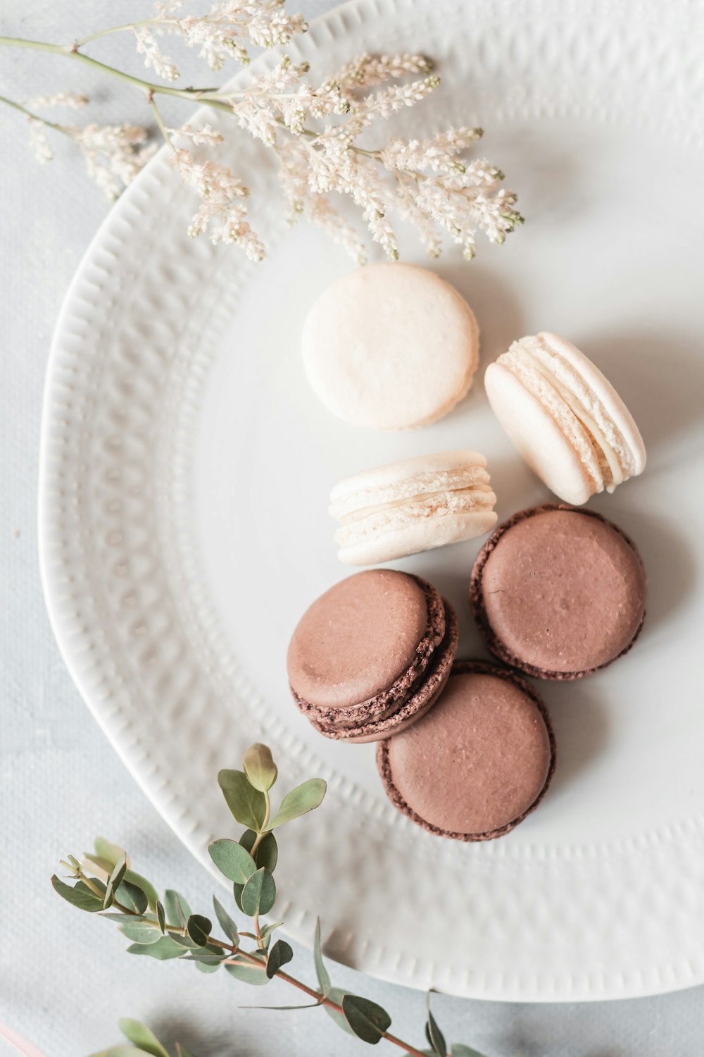 brown round cookies on white ceramic plate