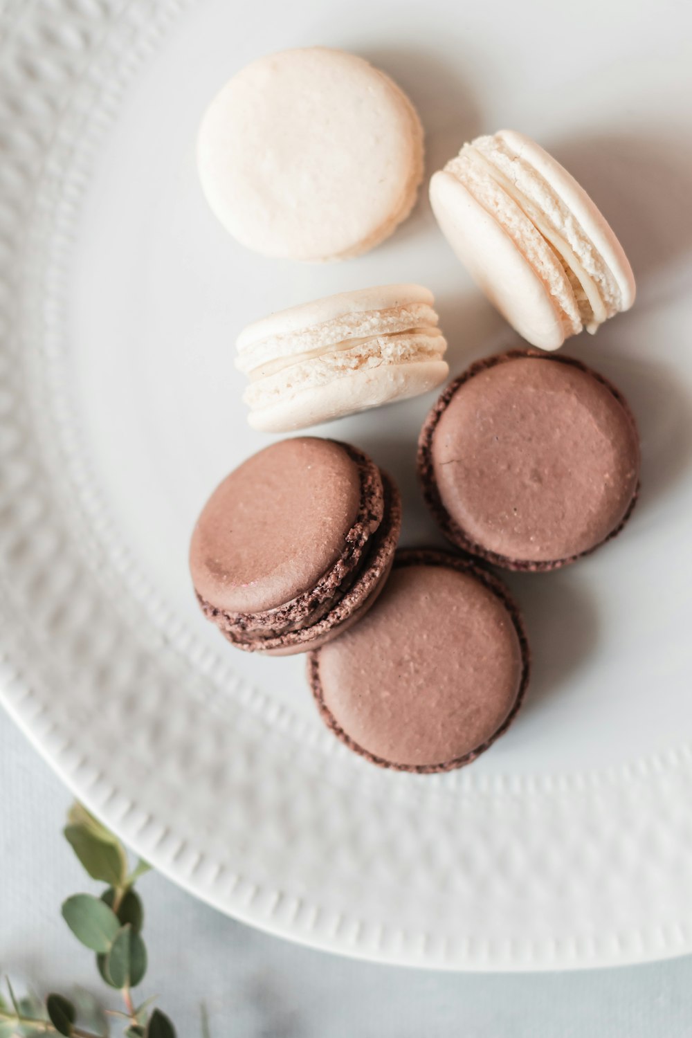 brown round cookies on white ceramic plate