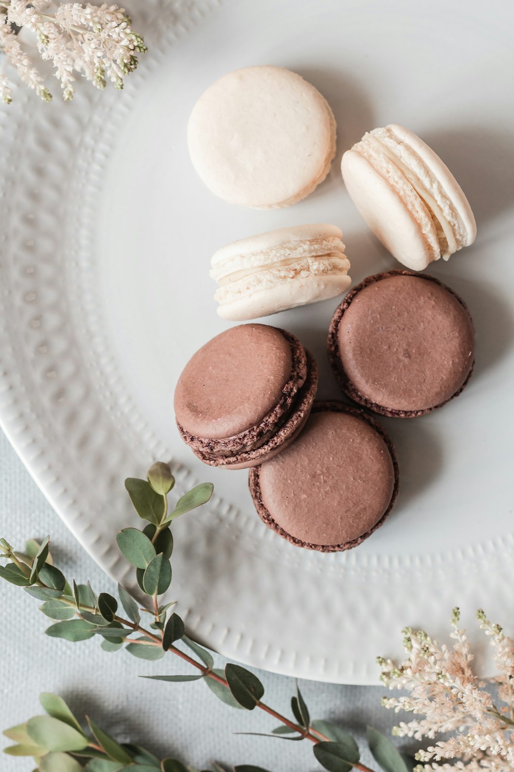 brown round cookies on white ceramic plate