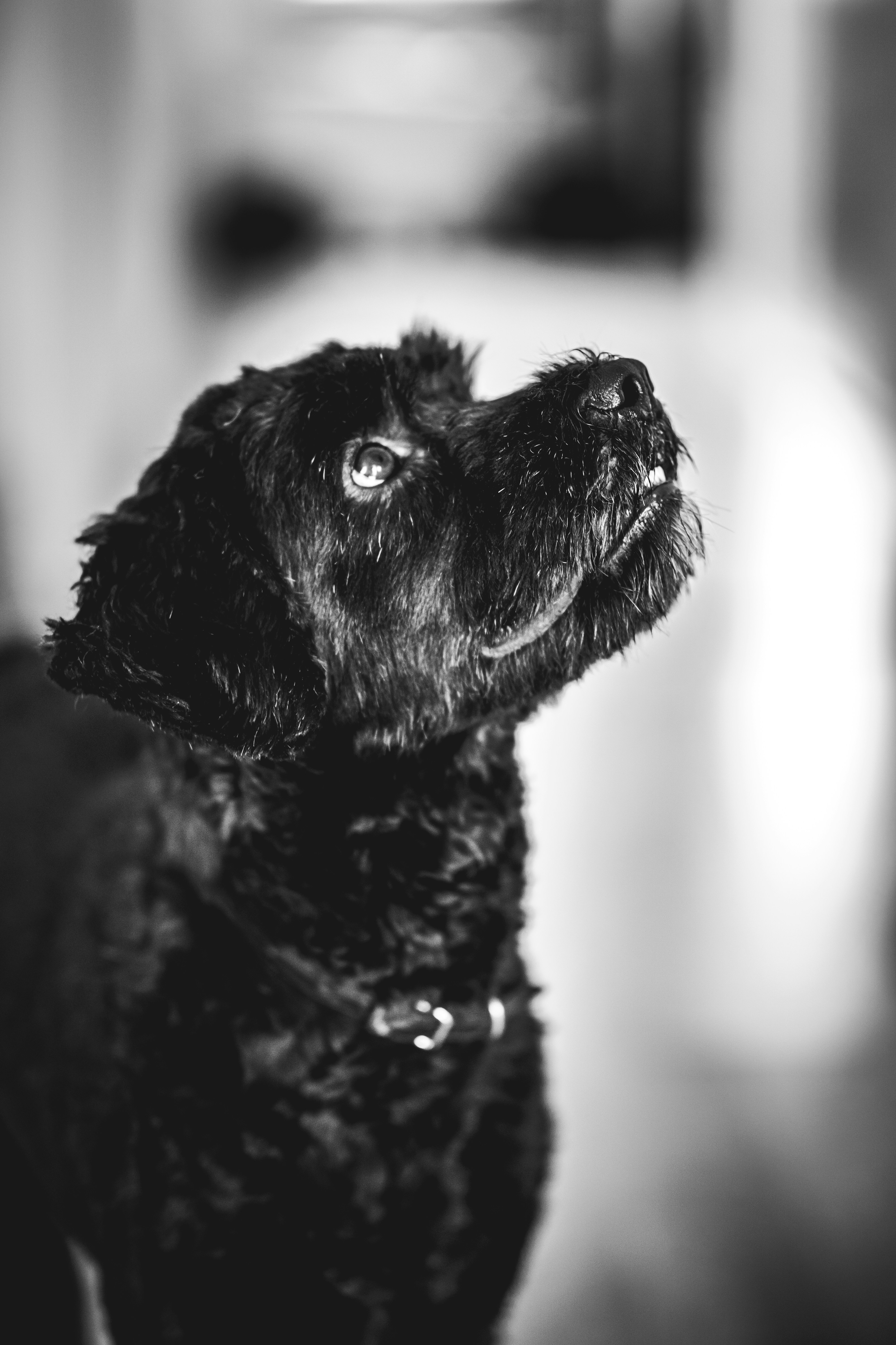 Photo by emilwidlund