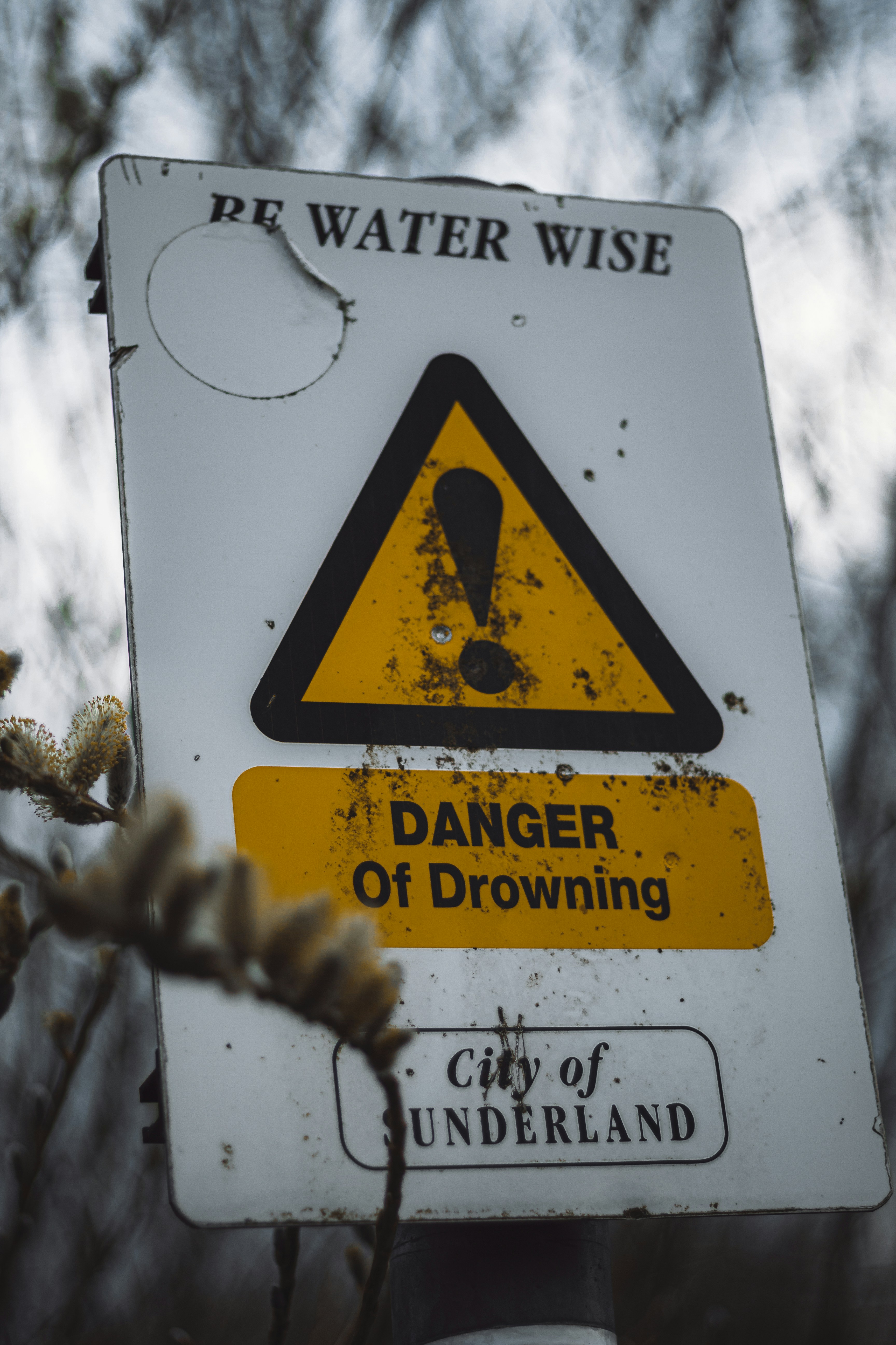 Photo by artbyjackson