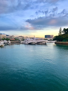 A tranquil harbor scene with a large catamaran docked alongside other boats. The water is a deep, clear blue and reflects the colorful early evening sky. Surrounding the harbor are modern buildings and lush greenery, with a tall tree standing out on the right side. The sky transitions from light blue to warm hues near the horizon.
