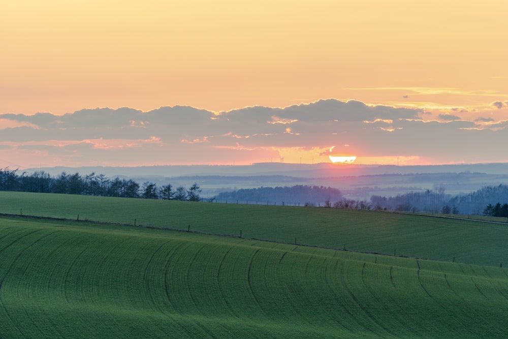 green grass field during sunset