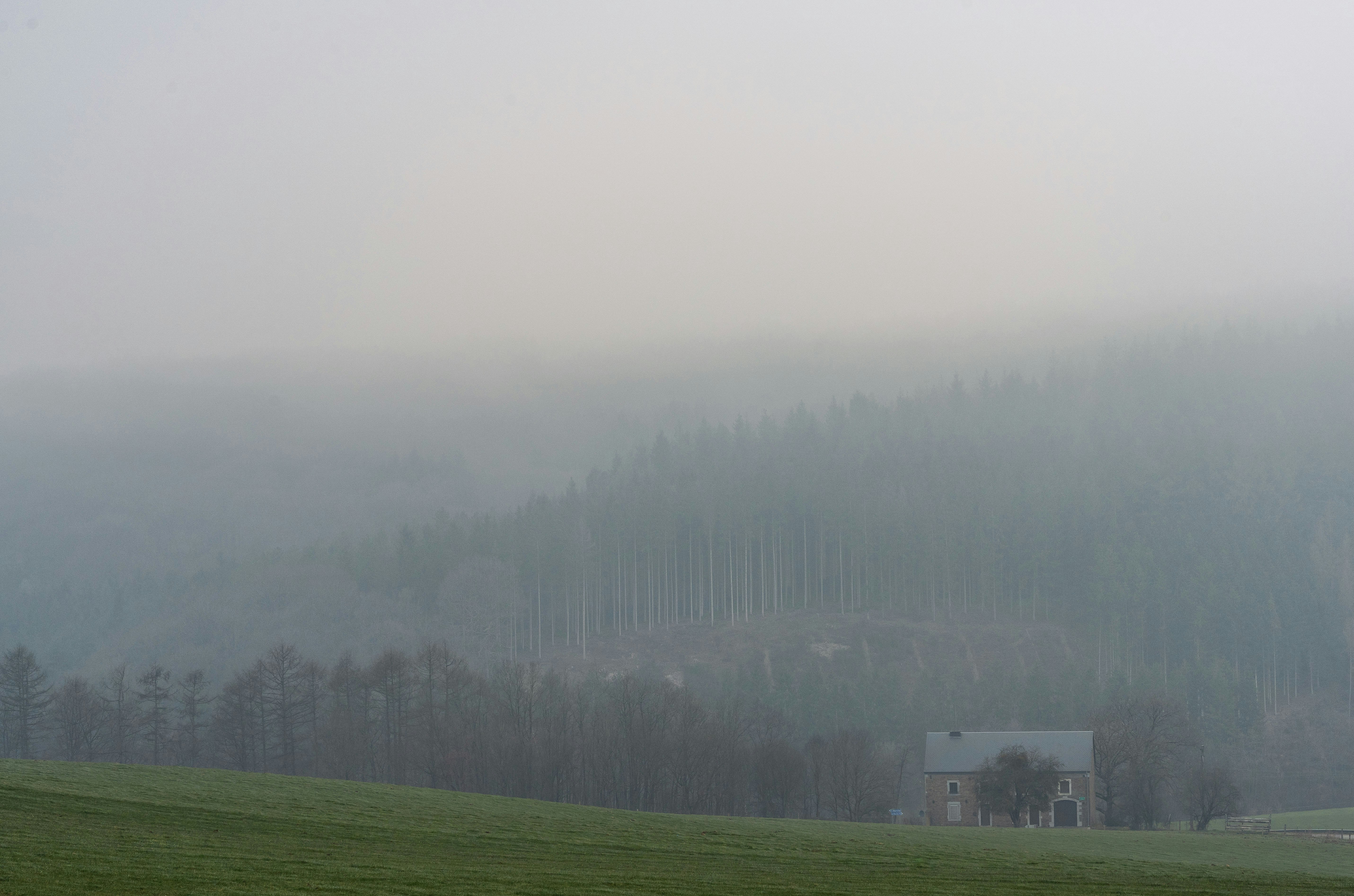 Foggy view of Belgium