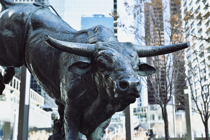 Bull in a China Shop